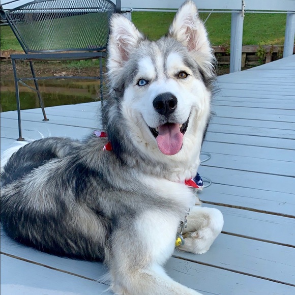 Meet your Posher, Madison - Picture 2 of 3